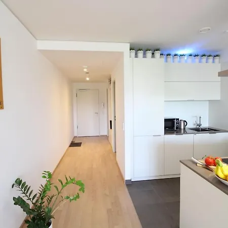 Close To Fair, Main Station And Airport Frankfurt nad Mohanem